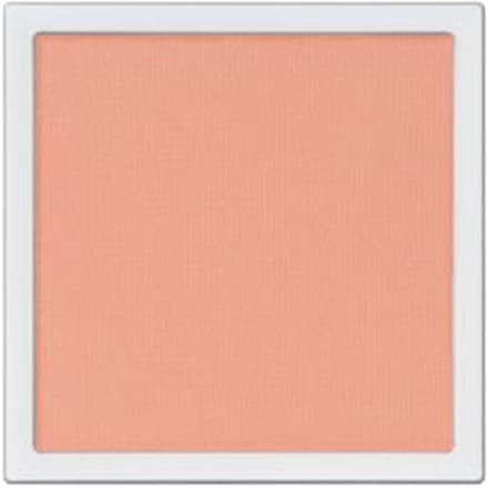 ADDICTION - The Single Eyeshadow Matte 006M New Skills