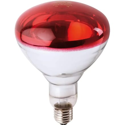 Philips - Incandescent reflector lamp Gloeilamp 871150057520325