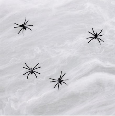 Halloween | Spinnenweb | Inclusief 6 spinnen | 40 gram