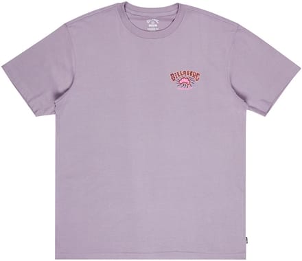 Billabong Origin T-shirt Met Korte Mouwen Paars S Man