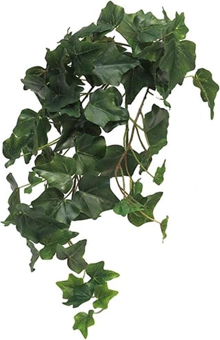 Ivy Chicago M kunsthangplant Erutan Avon