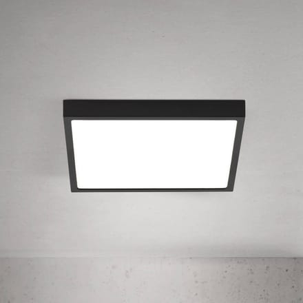 ORION LED plafondlamp Disc, zwart Lengte 24 cm, CCT Metaal