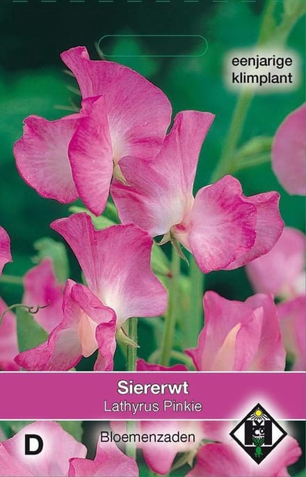 2 stuks Van Hemert & Co Lathyrus odoratus Pinkie
