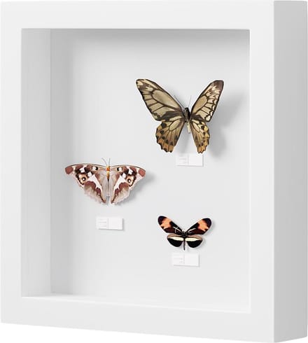 Diepe 3D fotolijst om te vullen - objectlijst 30 x 30 cm - collage met papier passe partout - wit