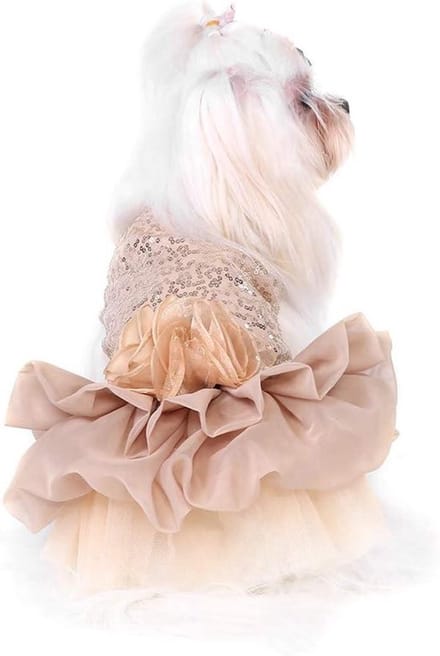 Schattige bubbelrok voor honden bij bruidsmis