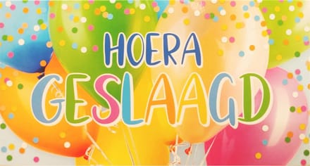 Kaart - Hoera geslaagd - Met Envelop - Per Stuk