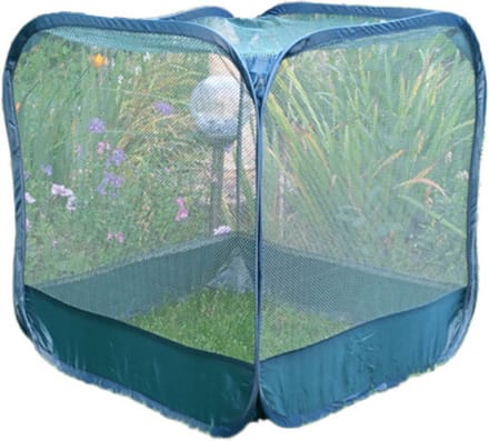 GardenSkill Pop up insectennet - Fruitkooi - 50 cm - Inclusief grondpennen