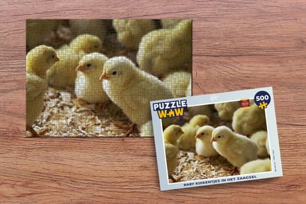 Puzzel Baby kuikentjes in het zaagsel - Legpuzzel - Puzzel 500 stukjes