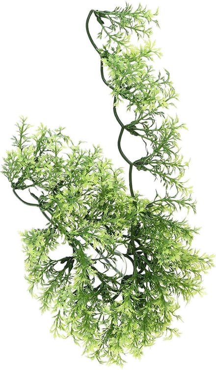 ZooMed - naturalistic flora - australian maple - small - terrariumplant