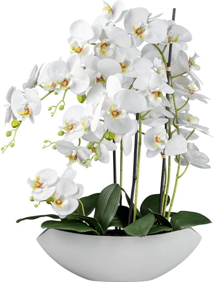 Kopu® Kunstbloem Orchidee 60 cm Wit met Schaal Ovaal - Phalenopsis