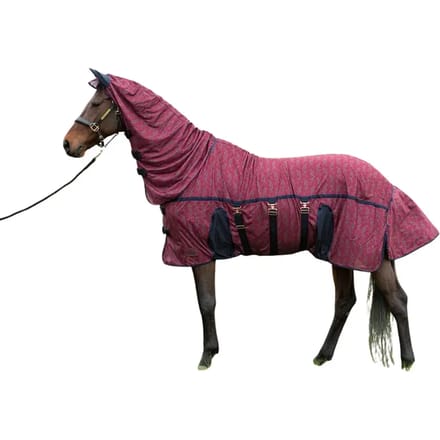Trainings teugels voor paard Harry's Horse