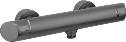 Sanifun douche thermostaatkraan Arnika Titanium 150