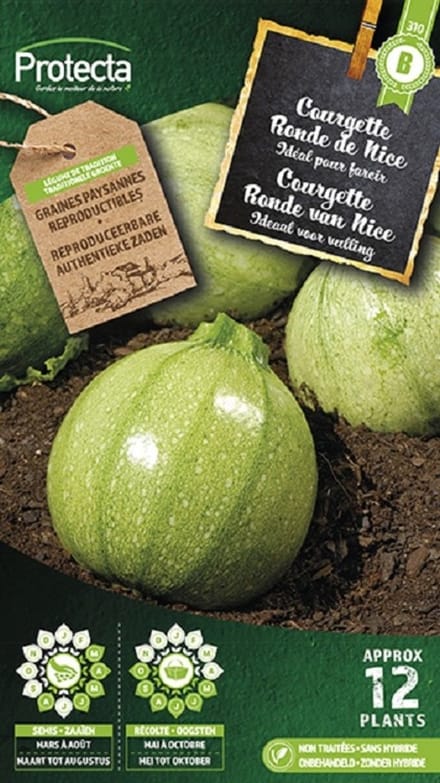 Protecta Groente zaden: Courgette Ronde van Nice