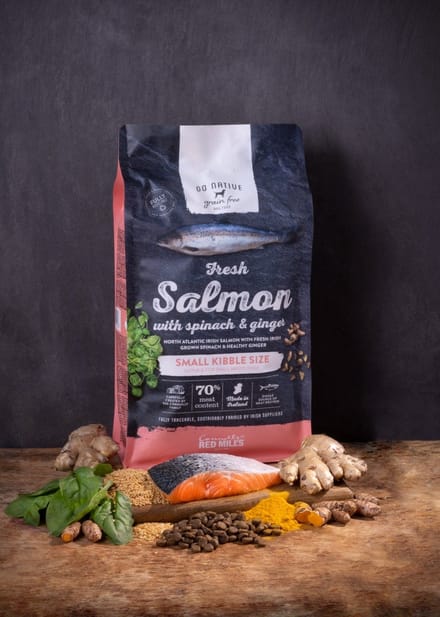 Go Native Grain Free Small Breed Dog Salmon with Spinach & Ginger 4 kg - Hond