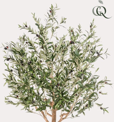 Kunst Olijfboom - Olea europaea - Olijfboom - 180 cm