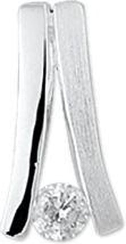 Zilveren Hanger zirkonia poli-mat - PSN1323053