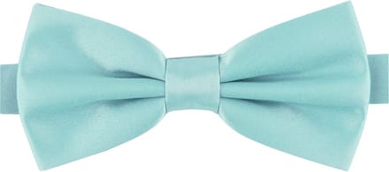 Ladeheid Vlinderdas - Strikjes voor Heren - Lengte: 12 cm, Breedte: 6 cm - Munt - LA-SR-M