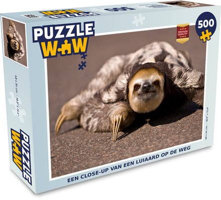Puzzel Een close-up van een Luiaard op de weg - Legpuzzel - Puzzel 500 stukjes