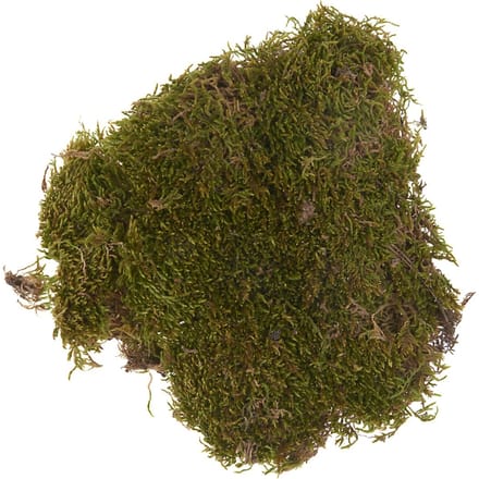 Plaatmos, 50 g