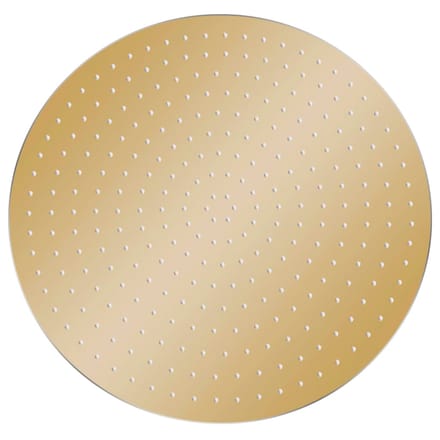 vidaXL - Regendouchekop - rond - 40 - cm - roestvrij - staal - goudkleurig