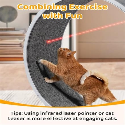 Kattenloopfiets - Loopband Kat - Fitness en Training - Super Stil - 80 cm - Grijs
