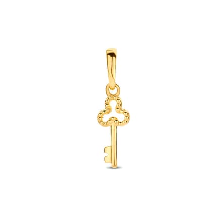 hanger sleutel 14K geelgoud