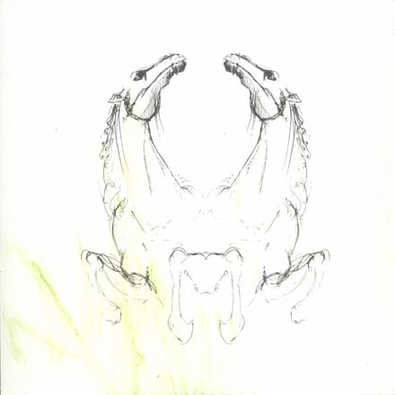 My Brightest Diamond - Tear It Down (CD)