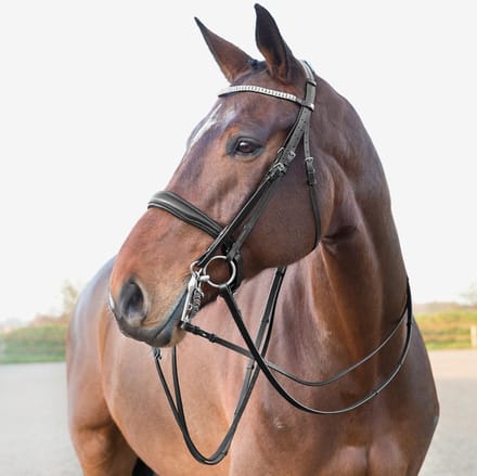 Stang en trenshoofdstel Laelia - zwart - X full