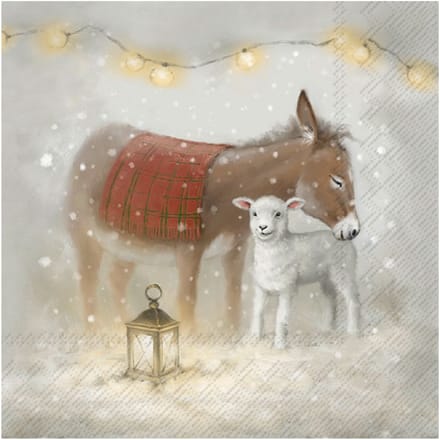 Servet "Nino and Molly"