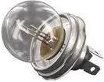 Philips R2 Duplo 12V - Vision