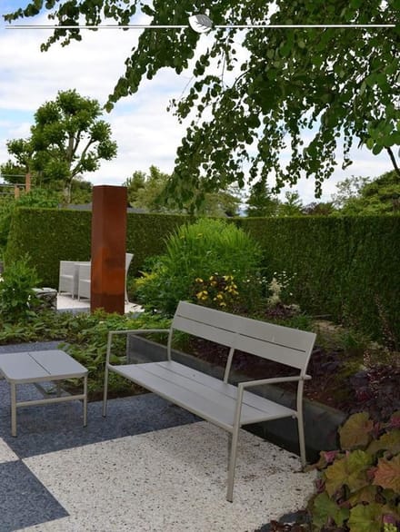 Levensboom Thuja plicata Martin 80-100 cm, 18x Haagplant