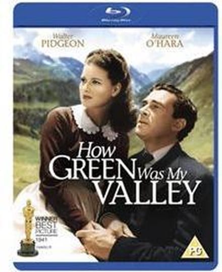 How Green Was My Valley