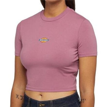 T-shirt Dickies Maple Valley Tee Mellow