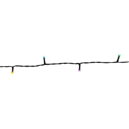Central Park 100l String Light New Multi
