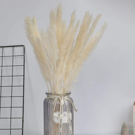 Gedroogde bloemen - Rietgras decoratie - Woonkamer aankleden - Natuurlijk & lang houdbaar - 55 cm lang - Natuurlijk beige