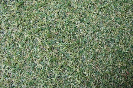 Niba® Kunstgras - 1x3m² - 20mm - Grastapijt - Groen - UV bestendig