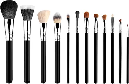 Famanu – Professionele make-up borstelset, 12 stuks, essentials voor foundation, poeder, blush en oogschaduw