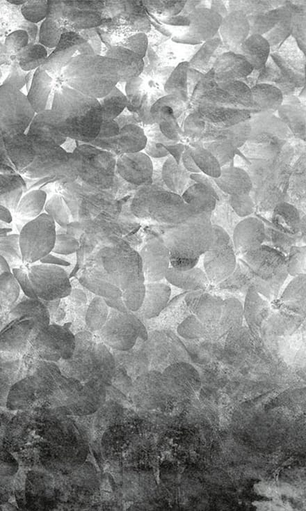 Fotobehang - Apple Tree Abstract II 150x250cm - Vliesbehang
