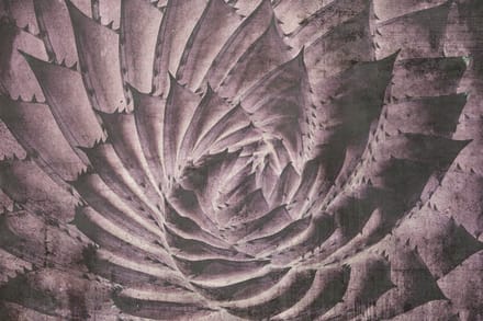 Fotobehang - Cactus Abstract 375x250cm - Vliesbehang