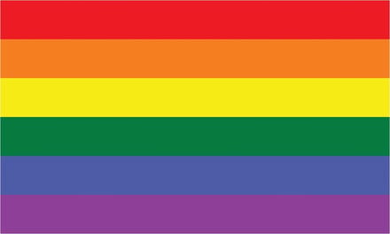 Regenboogvlag 120x180cm