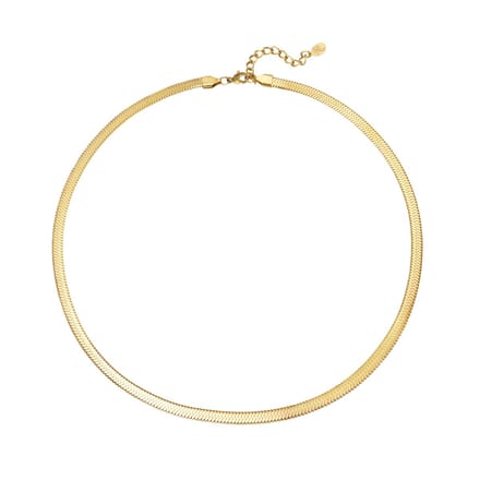 Ketting Retreat - Goud - 45cm