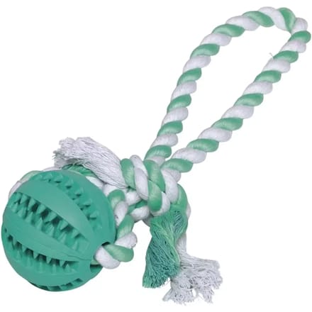 Rubberen bal met touw voor honden Nobby Pet Dental Line
