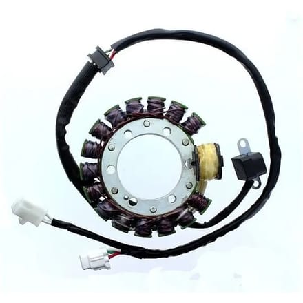 Originele aanpasbare motor dynamo Electrosport Yamaha