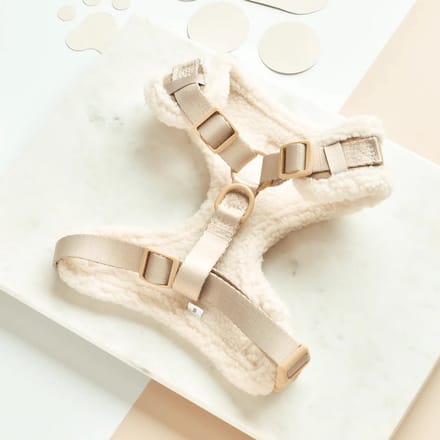 Cocopup Nude Aviator - verstelbaar hondentuig - maat M - wandeltuig