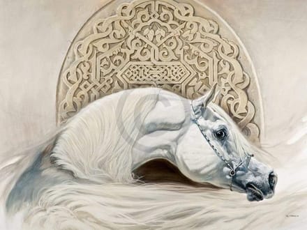 Kunstdruk Renato Casaro - Arabian Pride 80x60cm