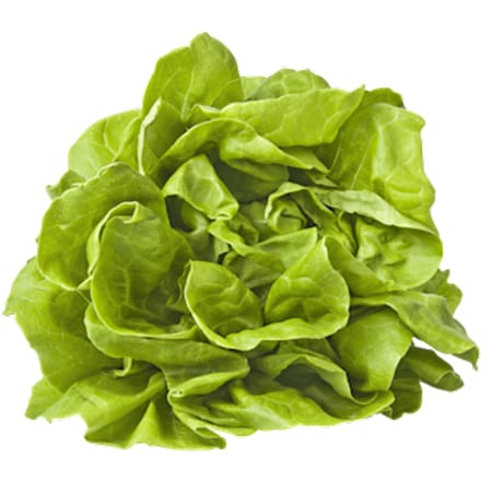 Kropsla