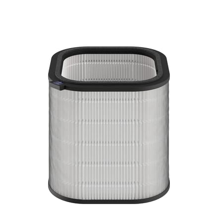 AEG EF21001 Particle Filter 9009237067