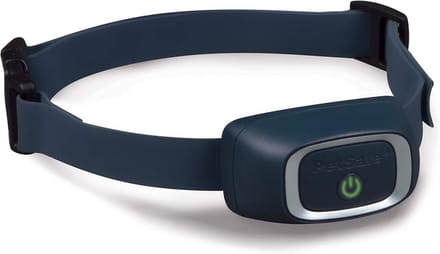 Extra Standaard Ontvangerhalsband voor Honden