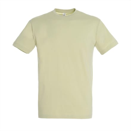 SOL'S Regent T-Shirt 150 L150 - Sage green - S