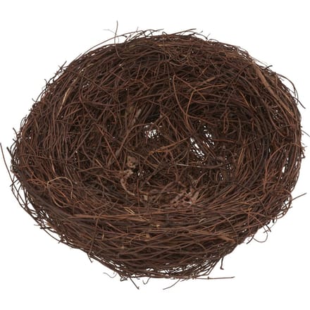 VBS Borstelhout nest